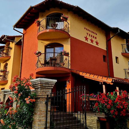 Pension Terra Alba Iulia Exterior foto